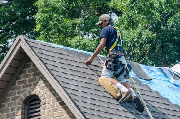 Best Roof Gutter Cleaning  in Plainview, TN